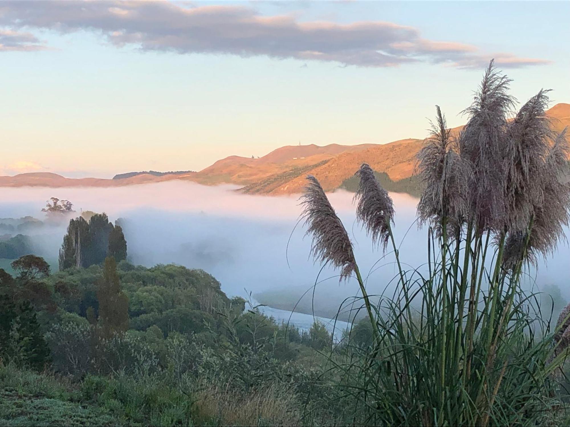 River View Cottage Kahuranaki エクステリア 写真